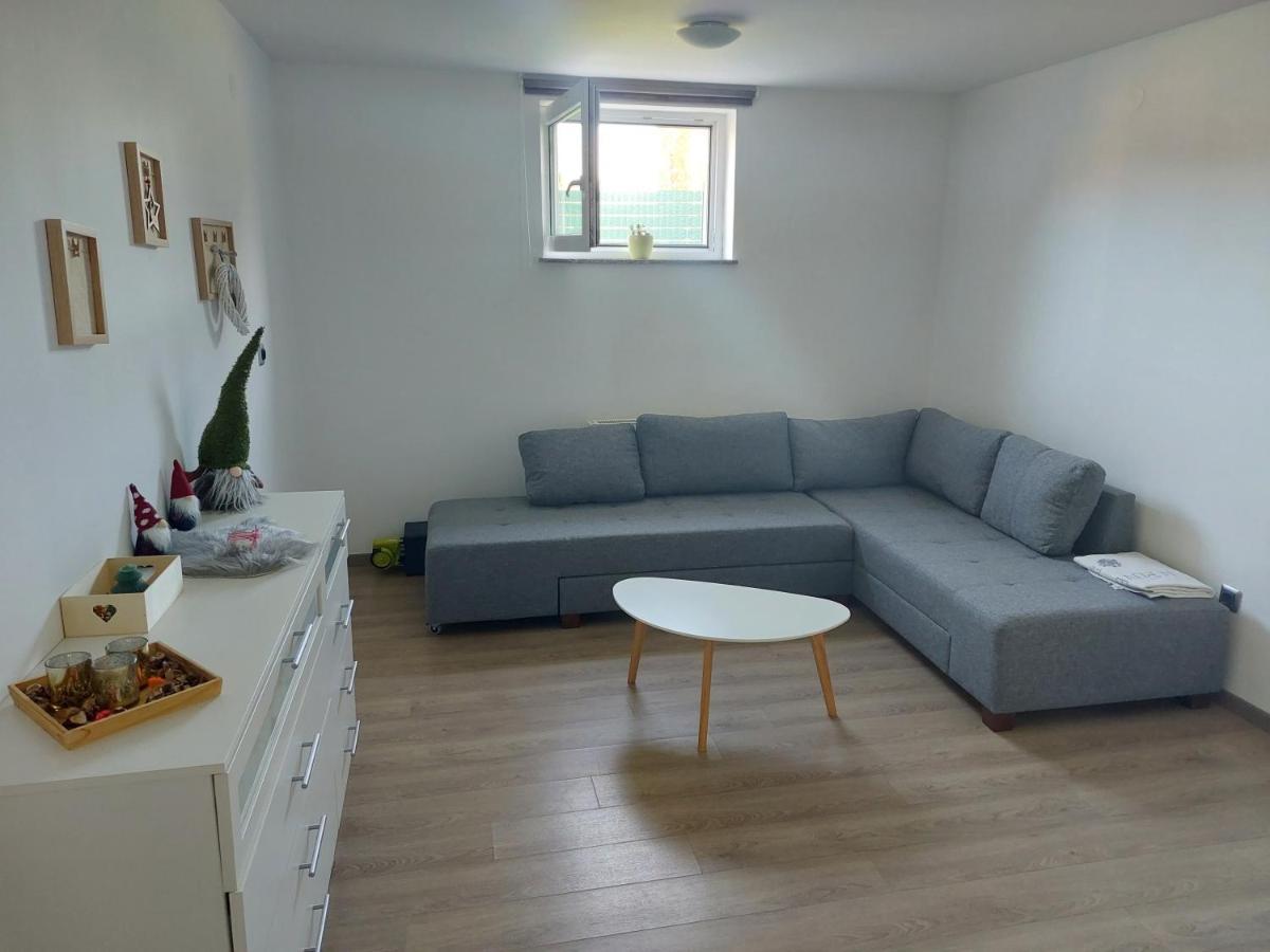 Spring And Summer Apartment Near Ljubljana With Free Secure Parking Domžale Extérieur photo